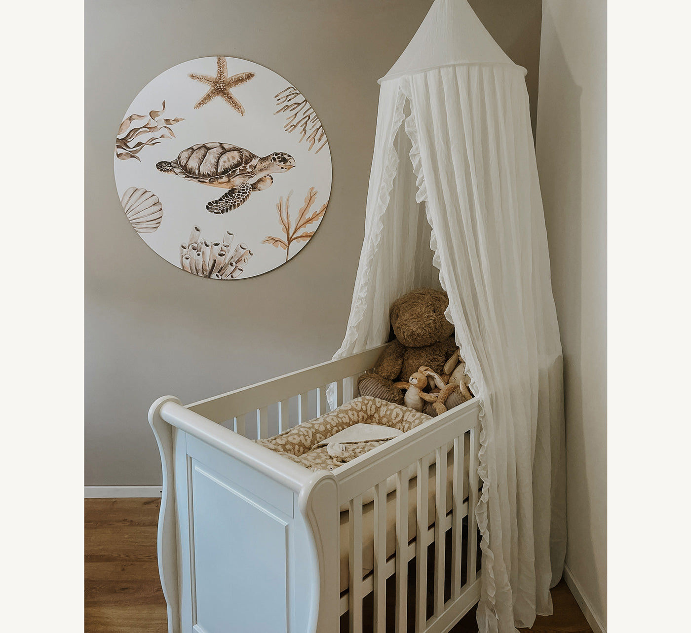 Muurcirkel - Schildpad tussen koraal