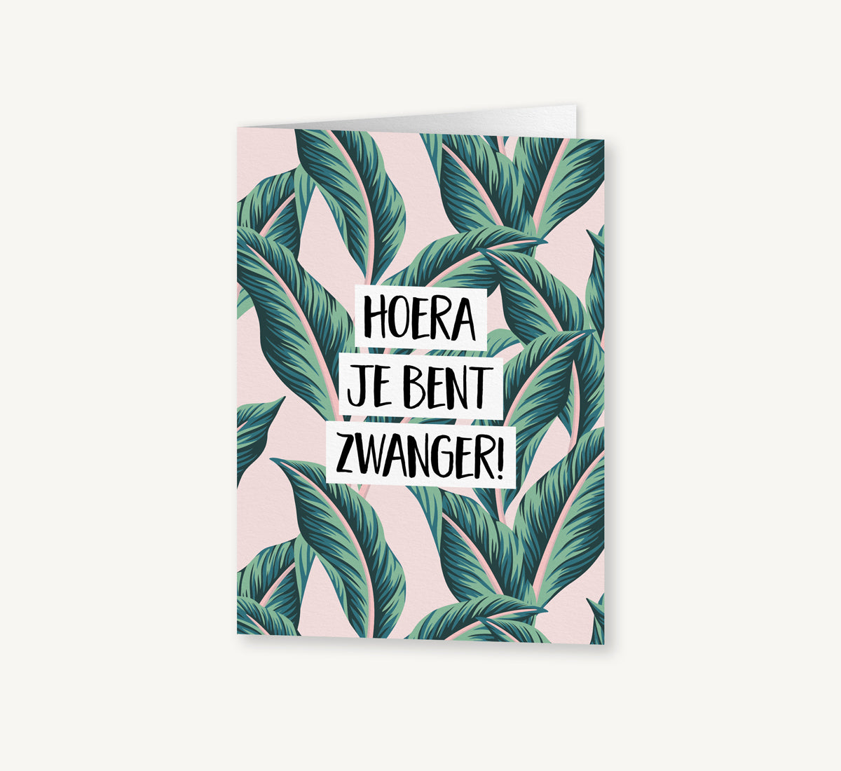 6 Wenskaarten naar keuze met envelop