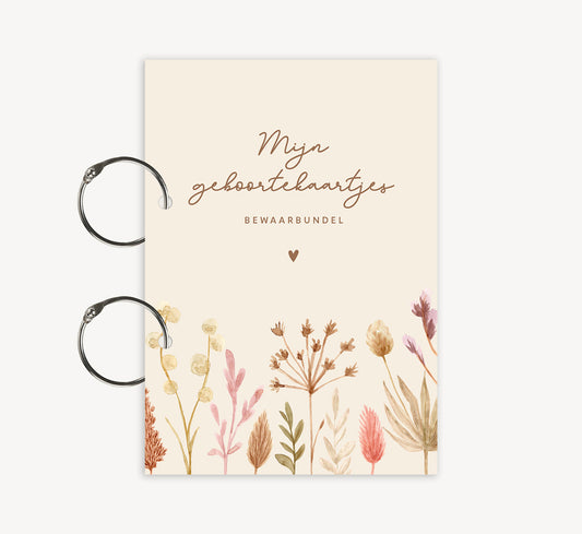 Bewaarbundel - Droogbloemen Beige